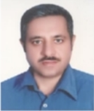 مجید دولتی